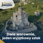 Złoża w Myszkowie i Zawierciu. Między surowcami a ochroną Jury